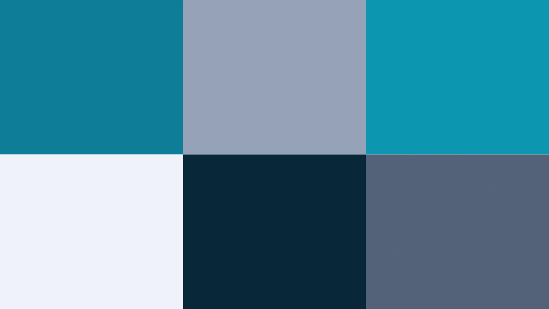 Colour Palette Visual