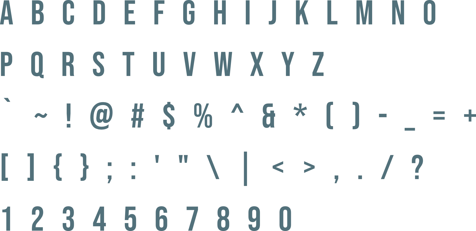 medicore-technologies - Primary Typeface
