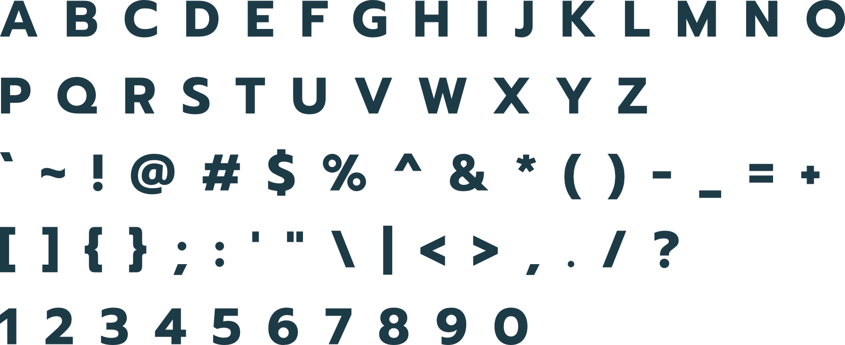 sentry-cyber-solutions - Primary Typeface