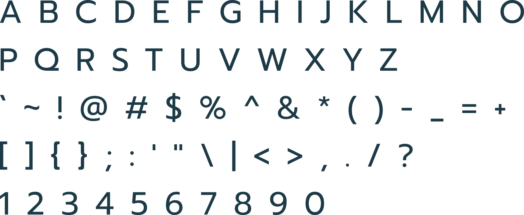 sentry-cyber-solutions - Secondary Typeface